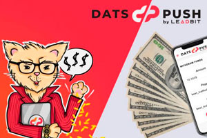 Кейс слива трафика с BodyClick на подписки DatsPush