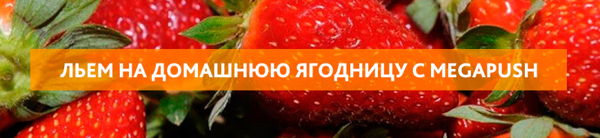 Слив на Домашнюю ягодницу с Мегапуш